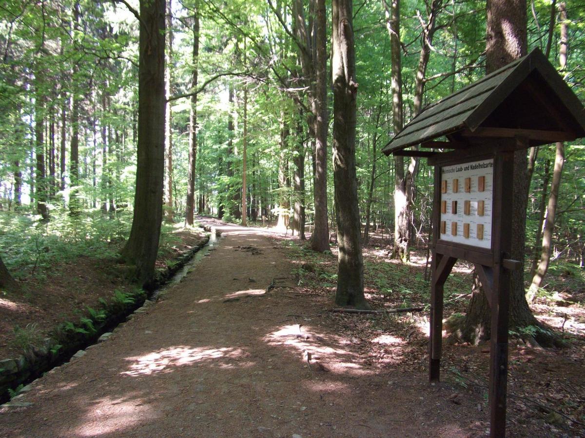 Ferienwohnung Erzgebirge - Pobershau - Mit Schoenem Ausblick, Ruhige, Beste Lage Exteriör bild